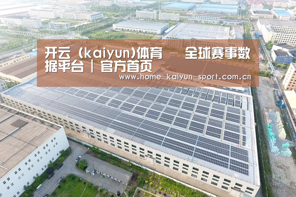 案例展示二