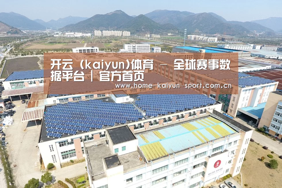 案例展示二