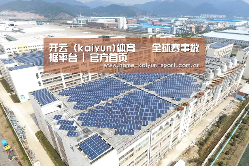 案例展示一