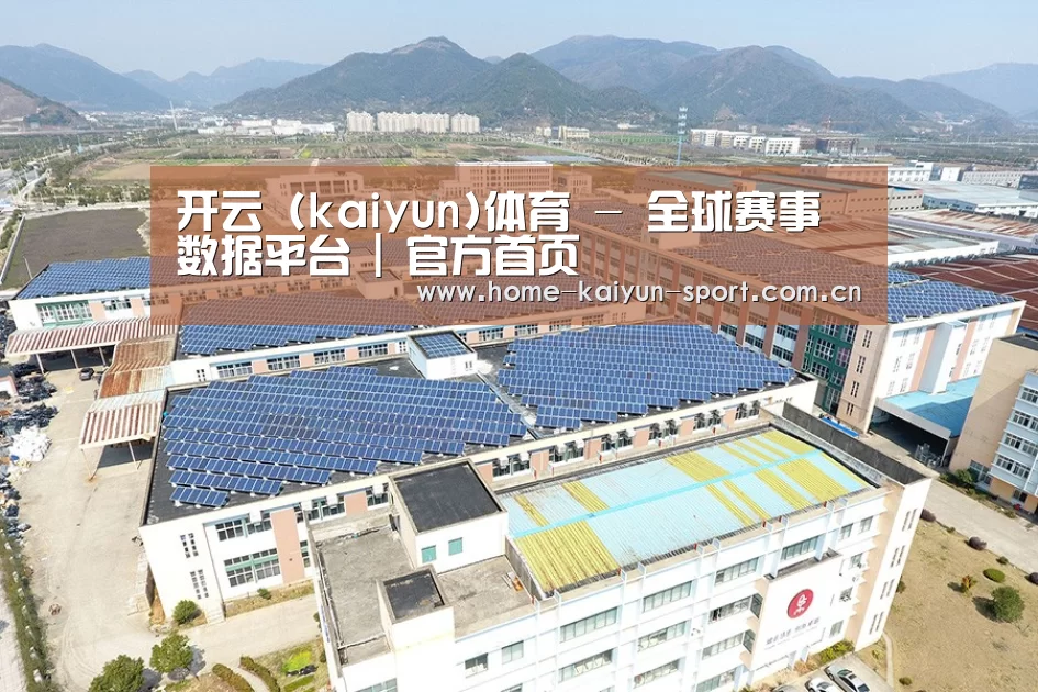 案例展示四