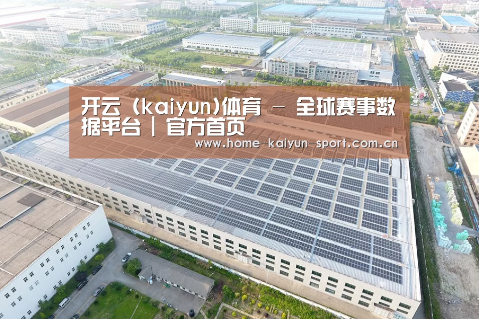 案例展示三
