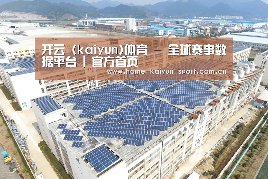 案例展示四