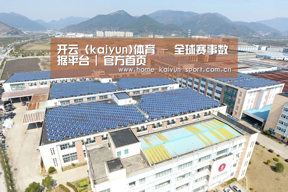 案例展示三