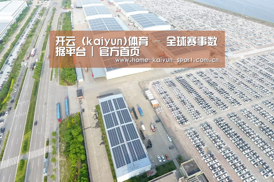 案例展示二