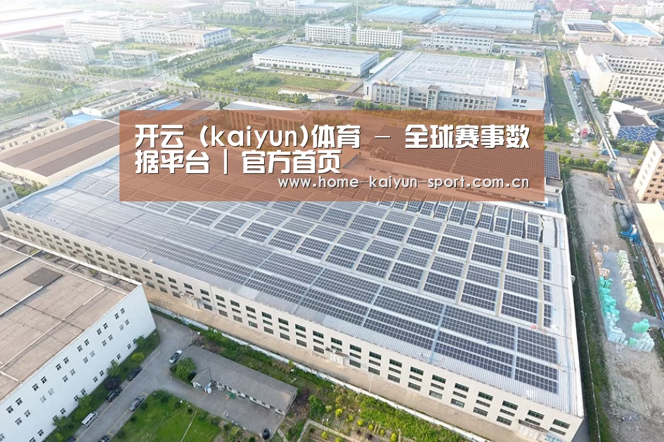 案例展示四